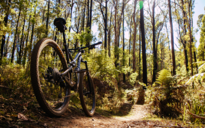 Alquiler de bicicletas en bike parks: el módulo que más ingresos deja escapar en temporada alta