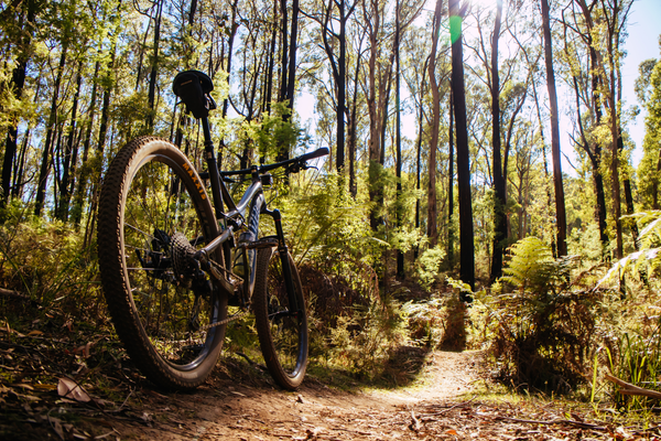 gestión alquiler bicicletas bike park